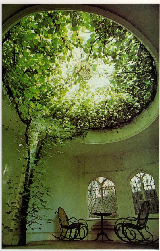 interior-nature-plant-art-design-architecture-living-room